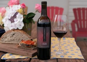 What Makes a Private Wine Tasting in San Francisco Worth the Investment?
